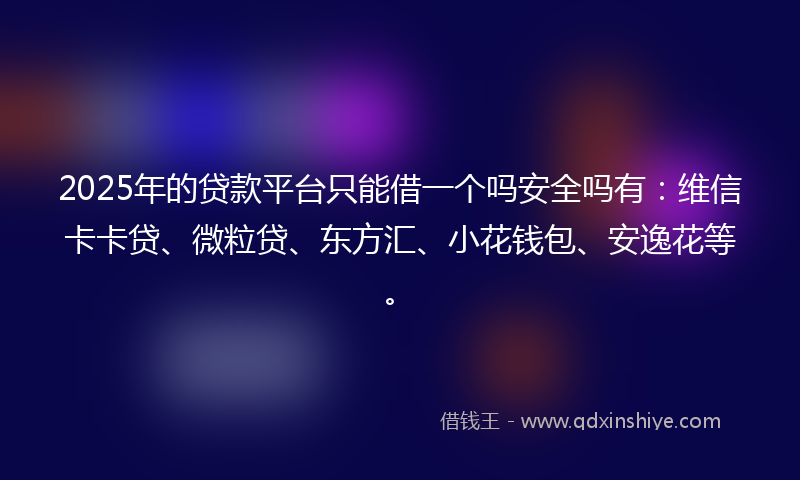2025年的贷款平台只能借一个吗安全吗有：维信卡卡贷、微粒贷、东方汇、小花钱包、安逸花等。