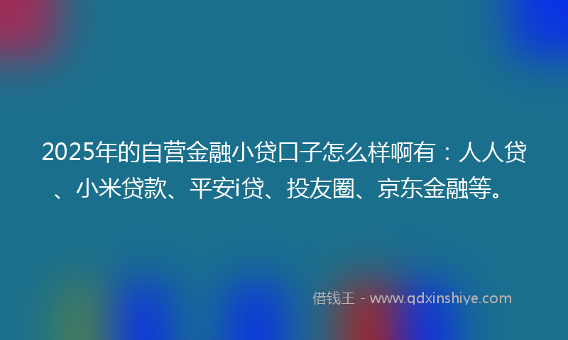 2025年的自营金融小贷口子怎么样啊有：人人贷、小米贷款、平安i贷、投友圈、京东金融等。