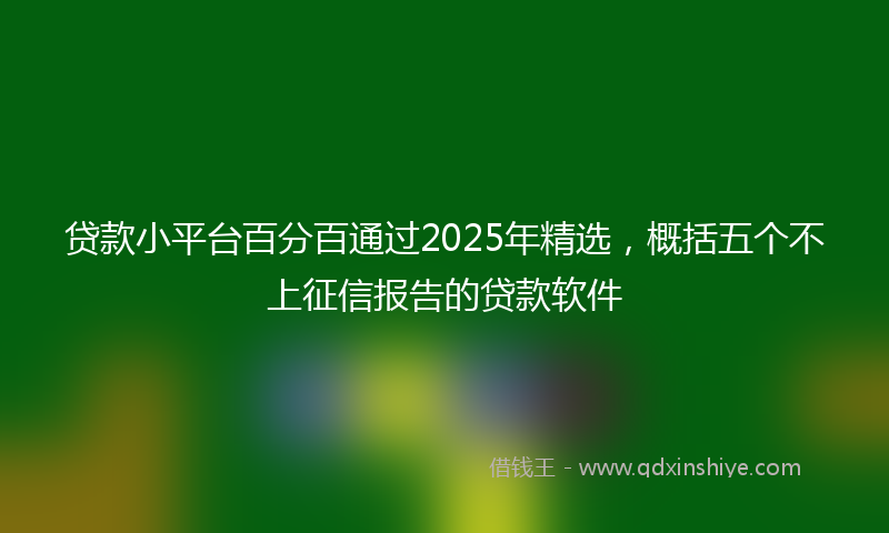 贷款小平台百分百通过2025年精选，概括五个不上征信报告的贷款软件