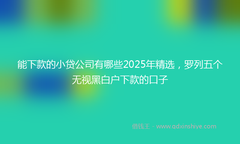 能下款的小贷公司有哪些2025年精选，罗列五个无视黑白户下款的口子