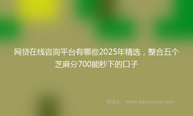 网贷在线咨询平台有哪些2025年精选，整合五个芝麻分700能秒下的口子