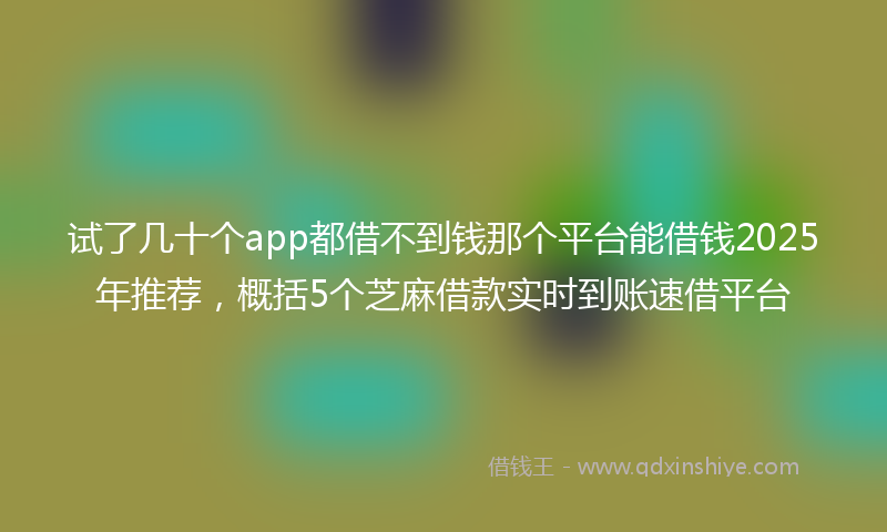试了几十个app都借不到钱那个平台能借钱2025年推荐，概括5个芝麻借款实时到账速借平台