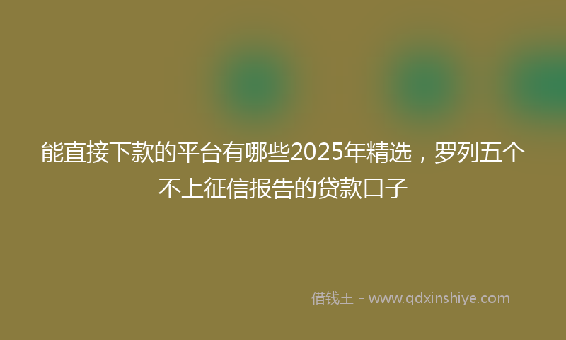 能直接下款的平台有哪些2025年精选，罗列五个不上征信报告的贷款口子
