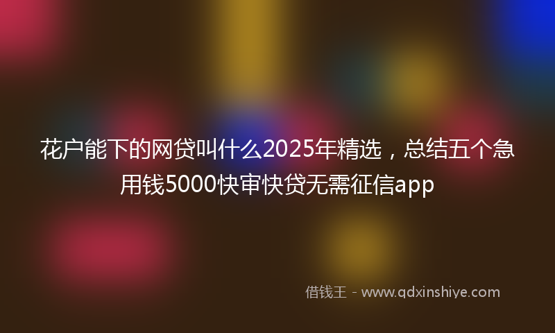 花户能下的网贷叫什么2025年精选，总结五个急用钱5000快审快贷无需征信app