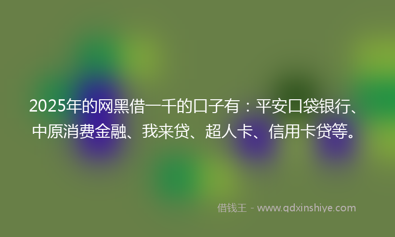 2025年的网黑借一千的口子有：平安口袋银行、中原消费金融、我来贷、超人卡、信用卡贷等。
