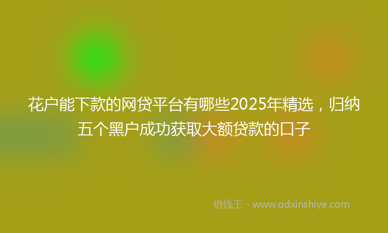花户能下款的网贷平台有哪些2025年精选,归纳五个黑户成功获取大额贷款的口子