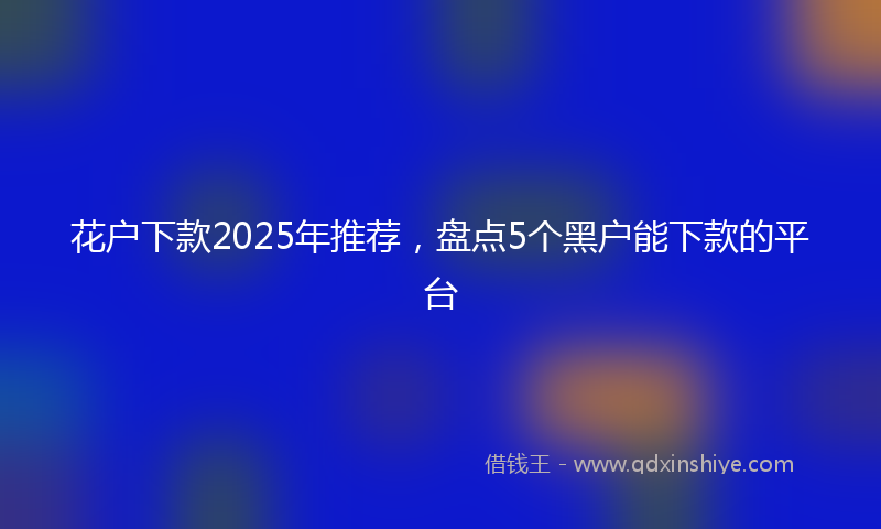 花户下款2025年推荐，盘点5个黑户能下款的平台