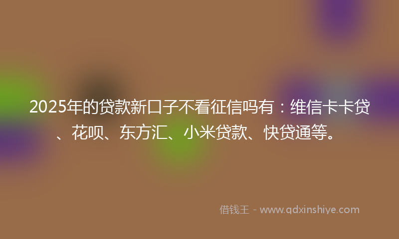 2025年的贷款新口子不看征信吗有：维信卡卡贷、花呗、东方汇、小米贷款、快贷通等。