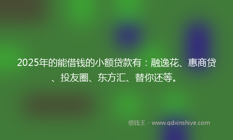 2025年的能借钱的小额贷款有：融逸花、惠商贷、投友圈、东方汇、替你还等。