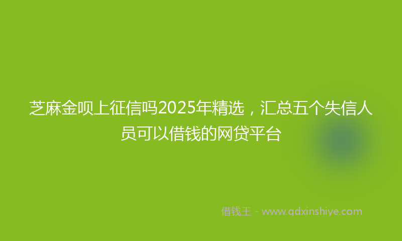 芝麻金呗上征信吗2025年精选，汇总五个失信人员可以借钱的网贷平台