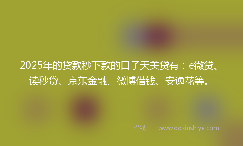 2025年的贷款秒下款的口子天美贷有：e微贷、读秒贷、京东金融、微博借钱、安逸花等。