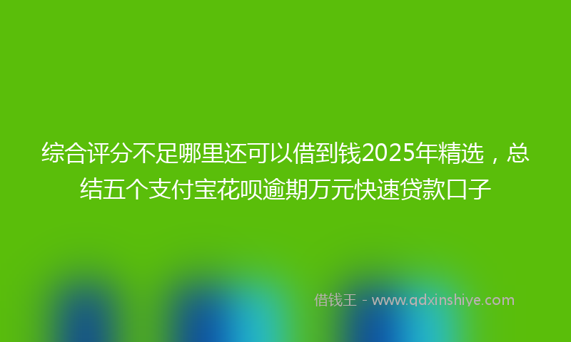 综合评分不足哪里还可以借到钱2025年精选，总结五个支付宝花呗逾期万元快速贷款口子