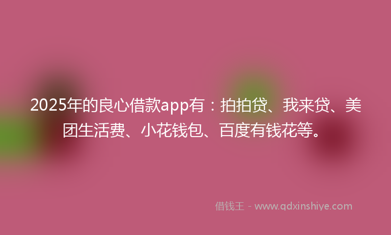 2025年的良心借款app有：拍拍贷、我来贷、美团生活费、小花钱包、百度有钱花等。