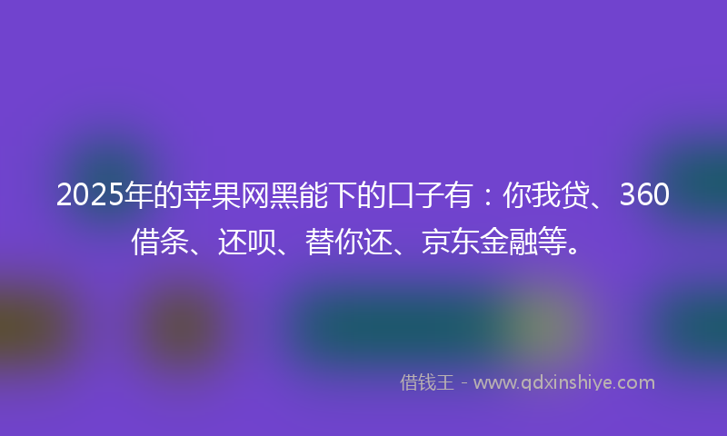 2025年的苹果网黑能下的口子有：你我贷、360借条、还呗、替你还、京东金融等。
