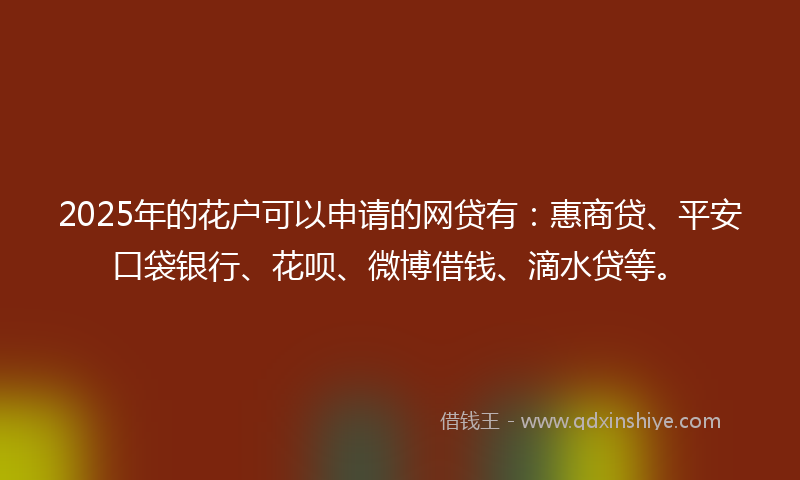 2025年的花户可以申请的网贷有：惠商贷、平安口袋银行、花呗、微博借钱、滴水贷等。