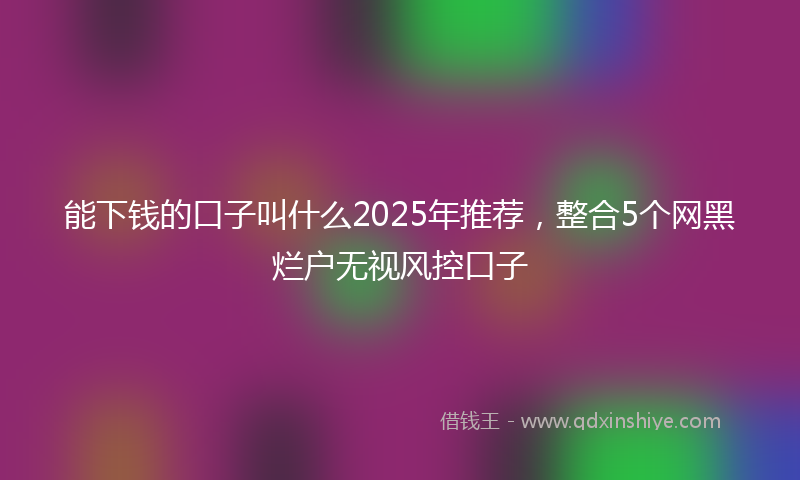 能下钱的口子叫什么2025年推荐，整合5个网黑烂户无视风控口子