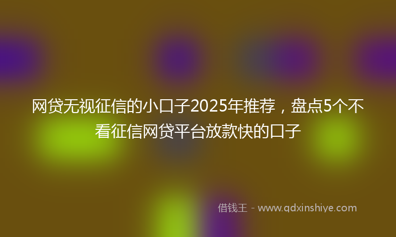 网贷无视征信的小口子2025年推荐，盘点5个不看征信网贷平台放款快的口子