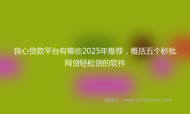 良心贷款平台有哪些2025年推荐，概括五个秒批网贷轻松贷的软件