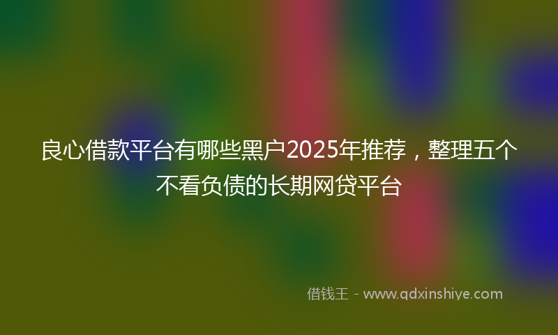 良心借款平台有哪些黑户2025年推荐，整理五个不看负债的长期网贷平台