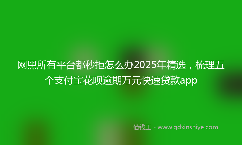 网黑所有平台都秒拒怎么办2025年精选，梳理五个支付宝花呗逾期万元快速贷款app