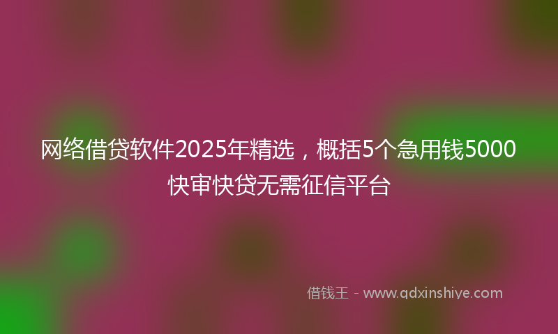 网络借贷软件2025年精选，概括5个急用钱5000快审快贷无需征信平台