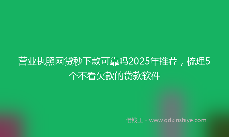 营业执照网贷秒下款可靠吗2025年推荐，梳理5个不看欠款的贷款软件