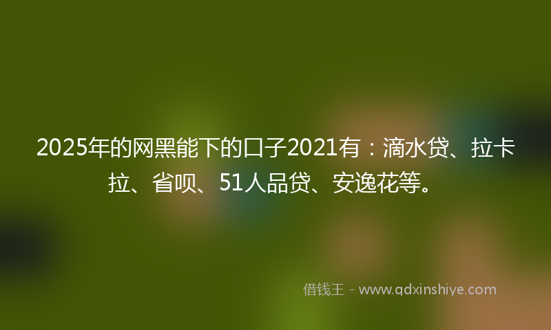 2025年的网黑能下的口子2021有：滴水贷、拉卡拉、省呗、51人品贷、安逸花等。