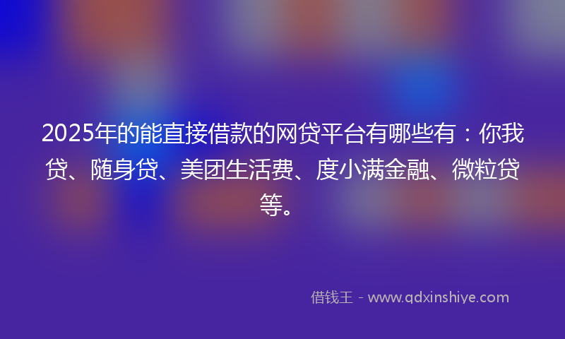 2025年的能直接借款的网贷平台有哪些有：你我贷、随身贷、美团生活费、度小满金融、微粒贷等。