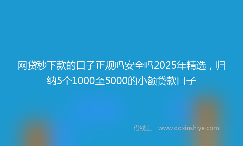 网贷秒下款的口子正规吗安全吗2025年精选，归纳5个1000至5000的小额贷款口子