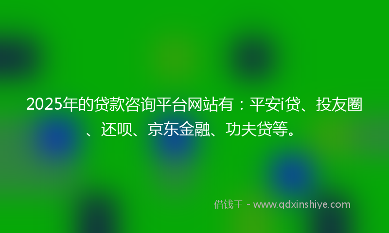 2025年的贷款咨询平台网站有：平安i贷、投友圈、还呗、京东金融、功夫贷等。