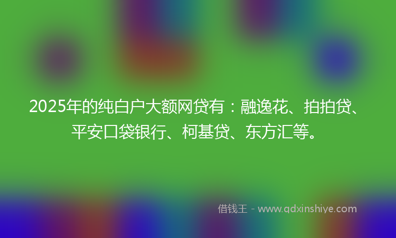 2025年的纯白户大额网贷有：融逸花、拍拍贷、平安口袋银行、柯基贷、东方汇等。