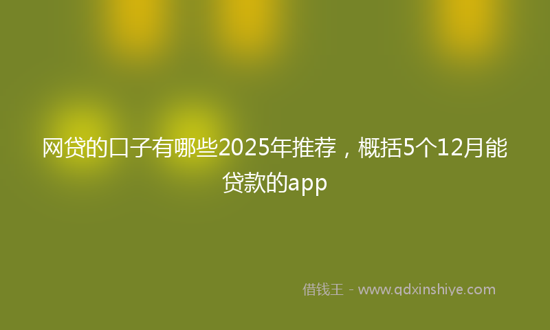 网贷的口子有哪些2025年推荐，概括5个12月能贷款的app