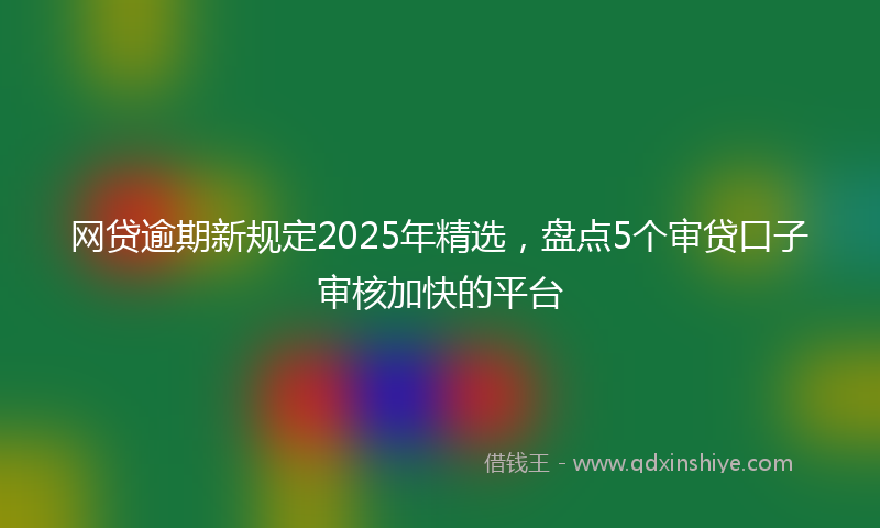 网贷逾期新规定2025年精选，盘点5个审贷口子审核加快的平台