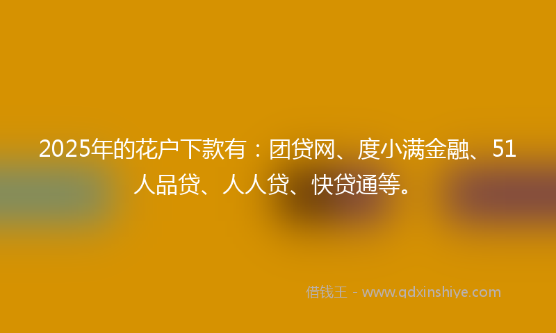 2025年的花户下款有：团贷网、度小满金融、51人品贷、人人贷、快贷通等。