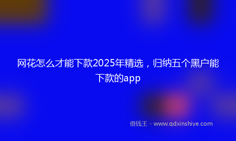 网花怎么才能下款2025年精选，归纳五个黑户能下款的app