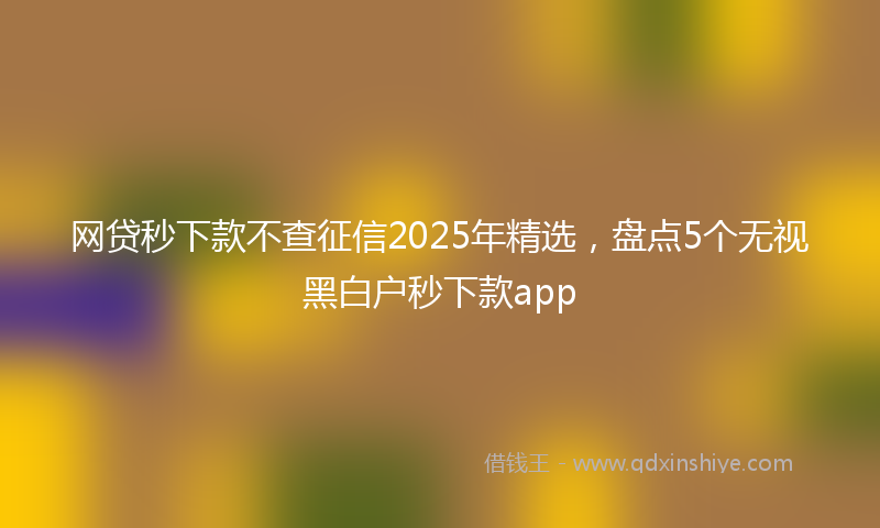 网贷秒下款不查征信2025年精选，盘点5个无视黑白户秒下款app