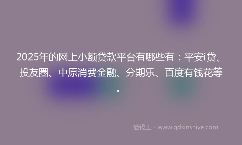 2025年的网上小额贷款平台有哪些有：平安i贷、投友圈、中原消费金融、分期乐、百度有钱花等。