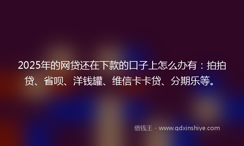 2025年的网贷还在下款的口子上怎么办有：拍拍贷、省呗、洋钱罐、维信卡卡贷、分期乐等。