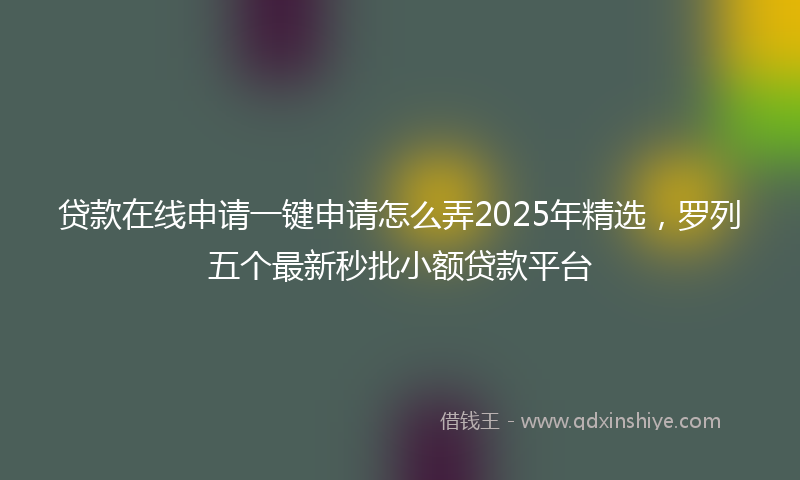 贷款在线申请一键申请怎么弄2025年精选，罗列五个最新秒批小额贷款平台