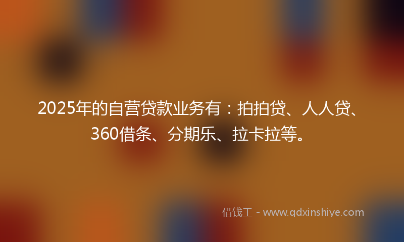 2025年的自营贷款业务有：拍拍贷、人人贷、360借条、分期乐、拉卡拉等。
