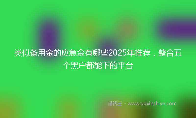 类似备用金的应急金有哪些2025年推荐，整合五个黑户都能下的平台