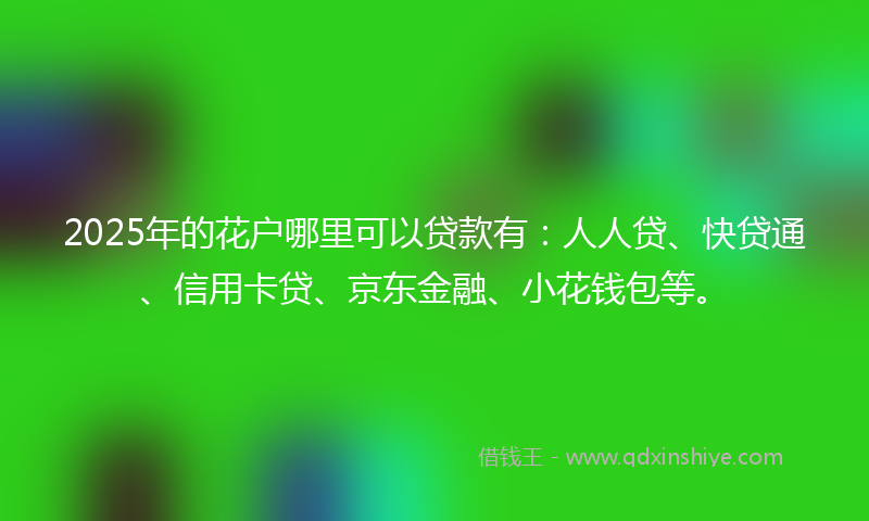 2025年的花户哪里可以贷款有：人人贷、快贷通、信用卡贷、京东金融、小花钱包等。