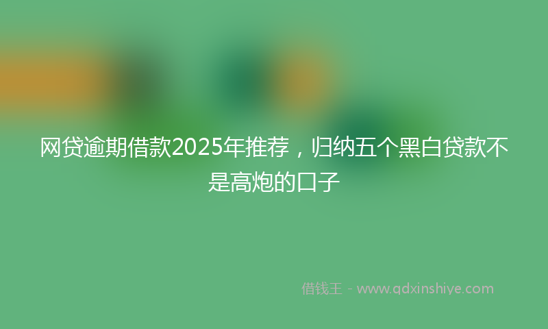 网贷逾期借款2025年推荐，归纳五个黑白贷款不是高炮的口子