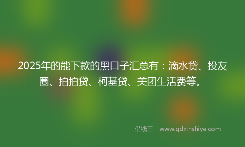 2025年的能下款的黑口子汇总有：滴水贷、投友圈、拍拍贷、柯基贷、美团生活费等。