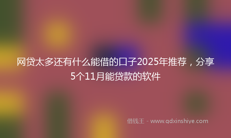 网贷太多还有什么能借的口子2025年推荐，分享5个11月能贷款的软件