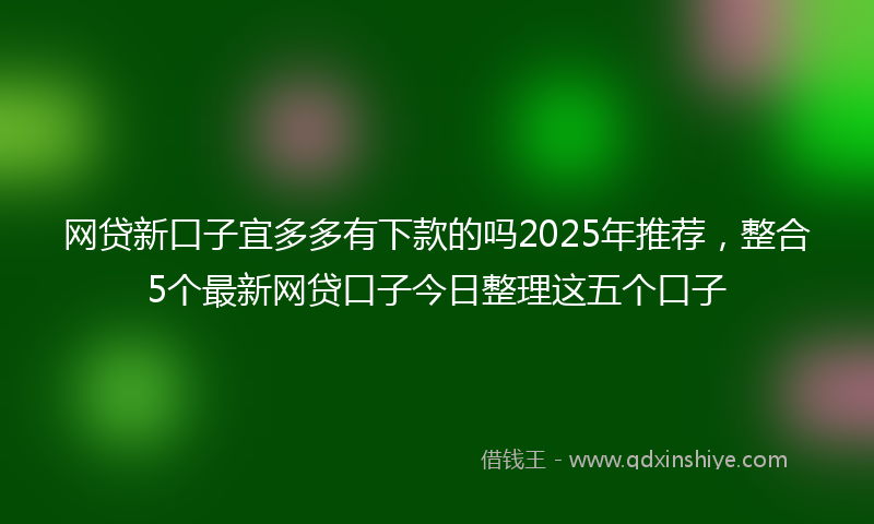 网贷新口子宜多多有下款的吗2025年推荐，整合5个最新网贷口子今日整理这五个口子