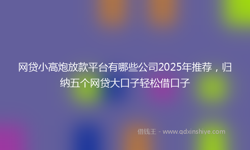 网贷小高炮放款平台有哪些公司2025年推荐，归纳五个网贷大口子轻松借口子