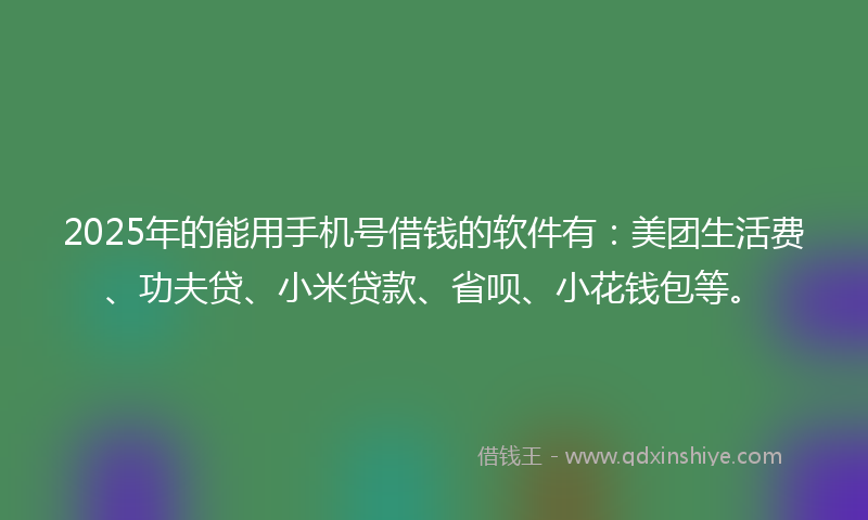 2025年的能用手机号借钱的软件有：美团生活费、功夫贷、小米贷款、省呗、小花钱包等。