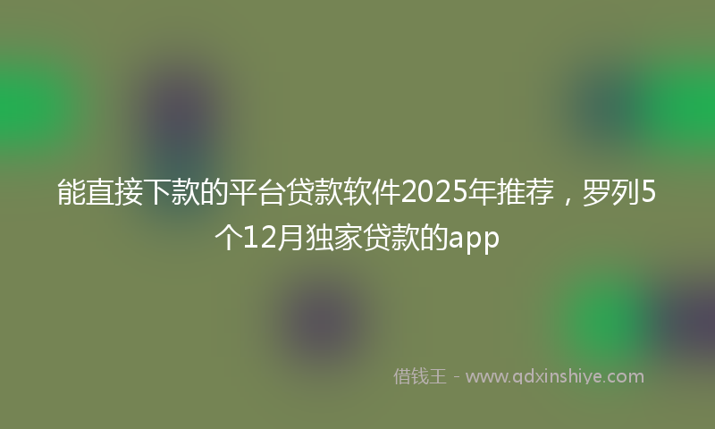 能直接下款的平台贷款软件2025年推荐，罗列5个12月独家贷款的app