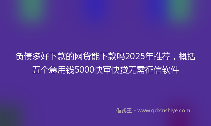 负债多好下款的网贷能下款吗2025年推荐，概括五个急用钱5000快审快贷无需征信软件